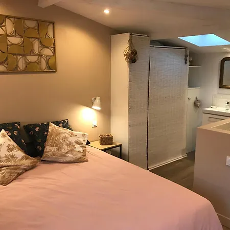 Villa Jolie Maison Avec Piscine Chauffee Bassin D'arcachon